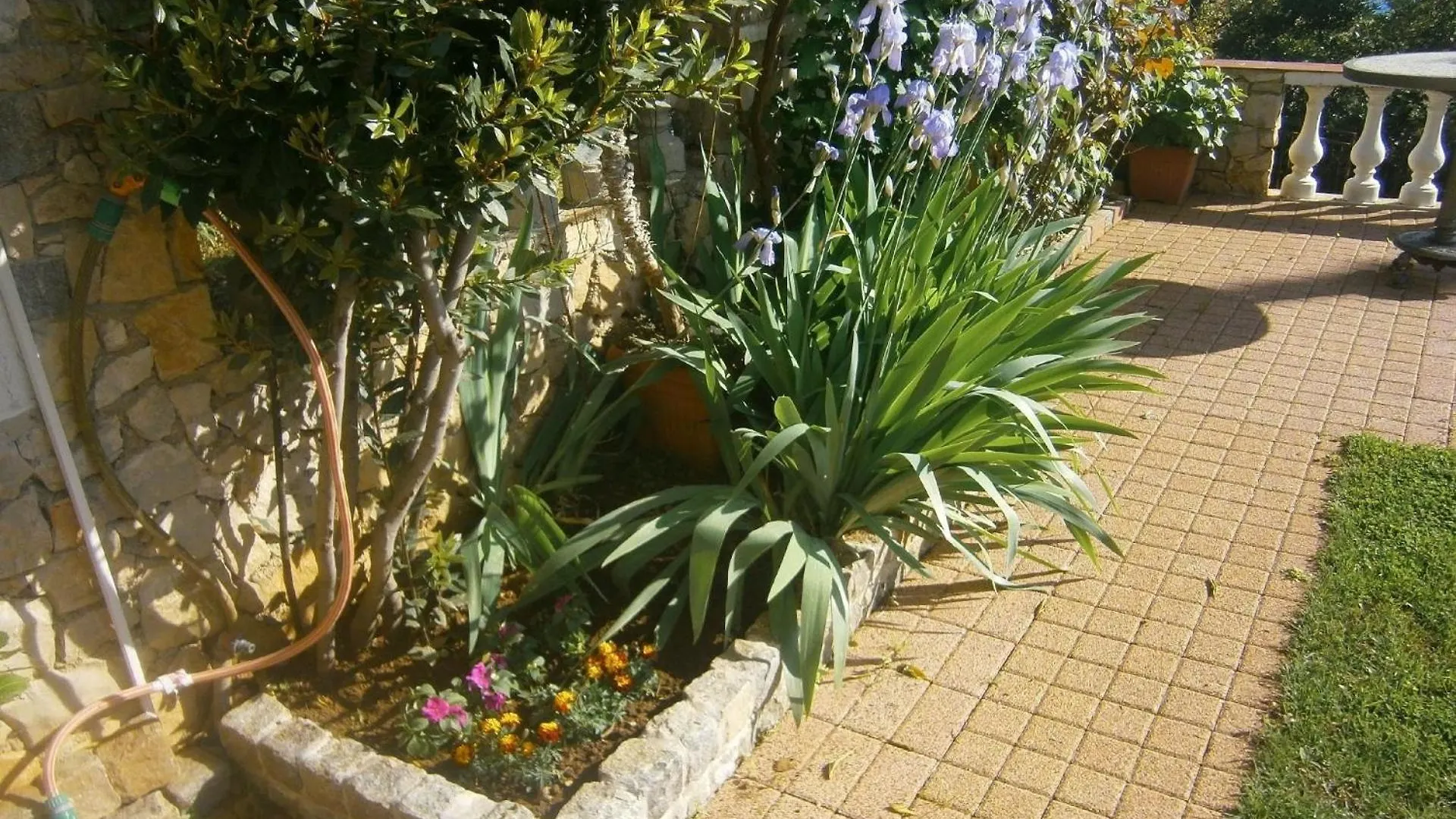 Apartment Mit Balkon- Gemeinsame Pool Und Terrasse Novi Vinodolski 0*,